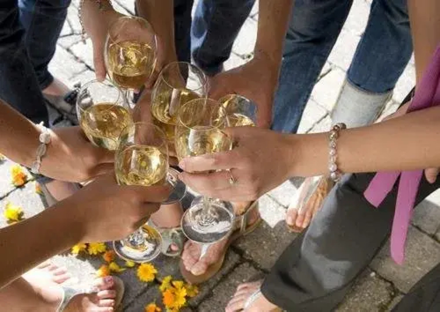 Ringhotel Der Waldkater