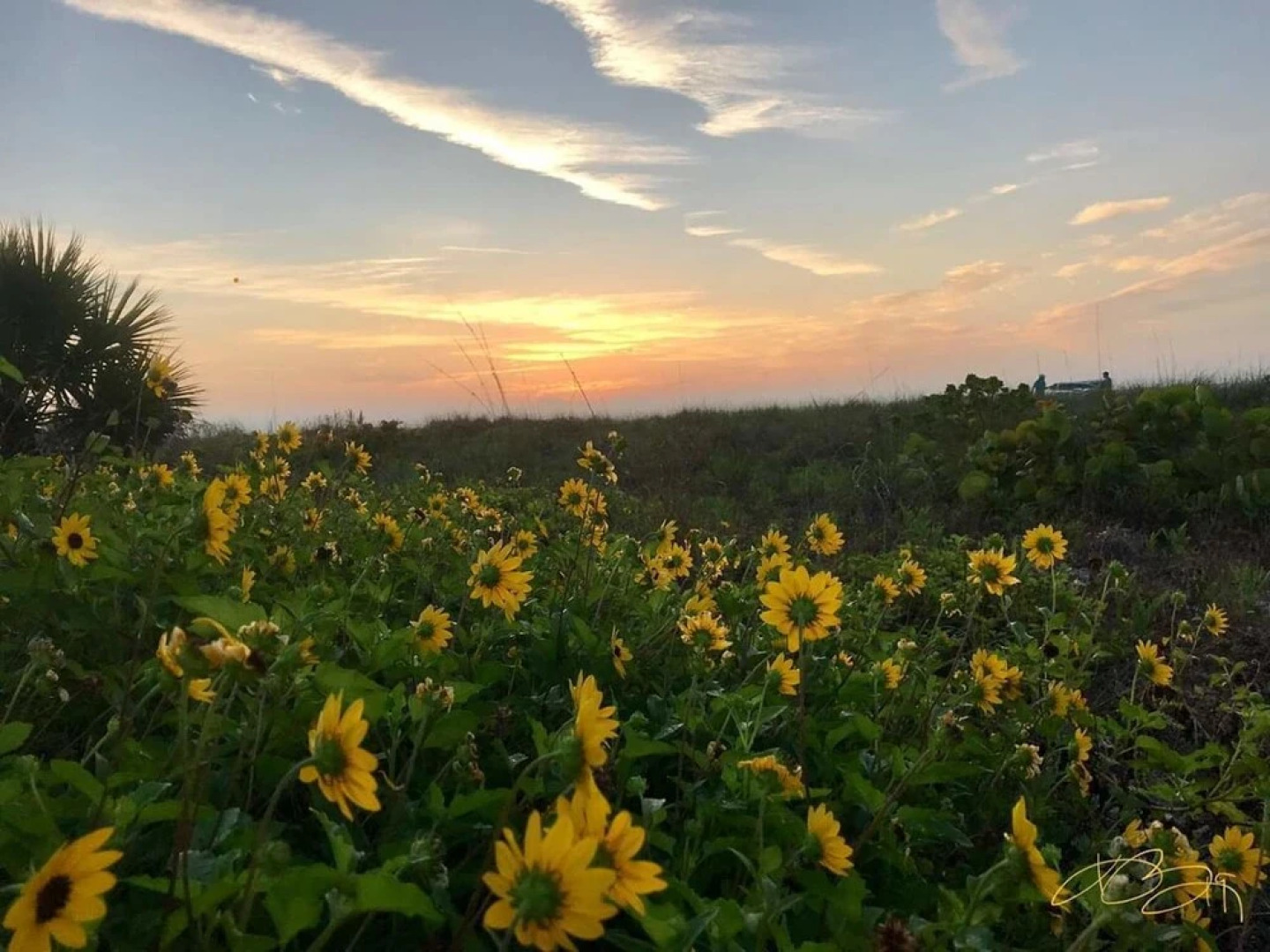 Sanibel Siesta on the Beach Unit 202 2 Bedrooms 2 Bathrooms Condo