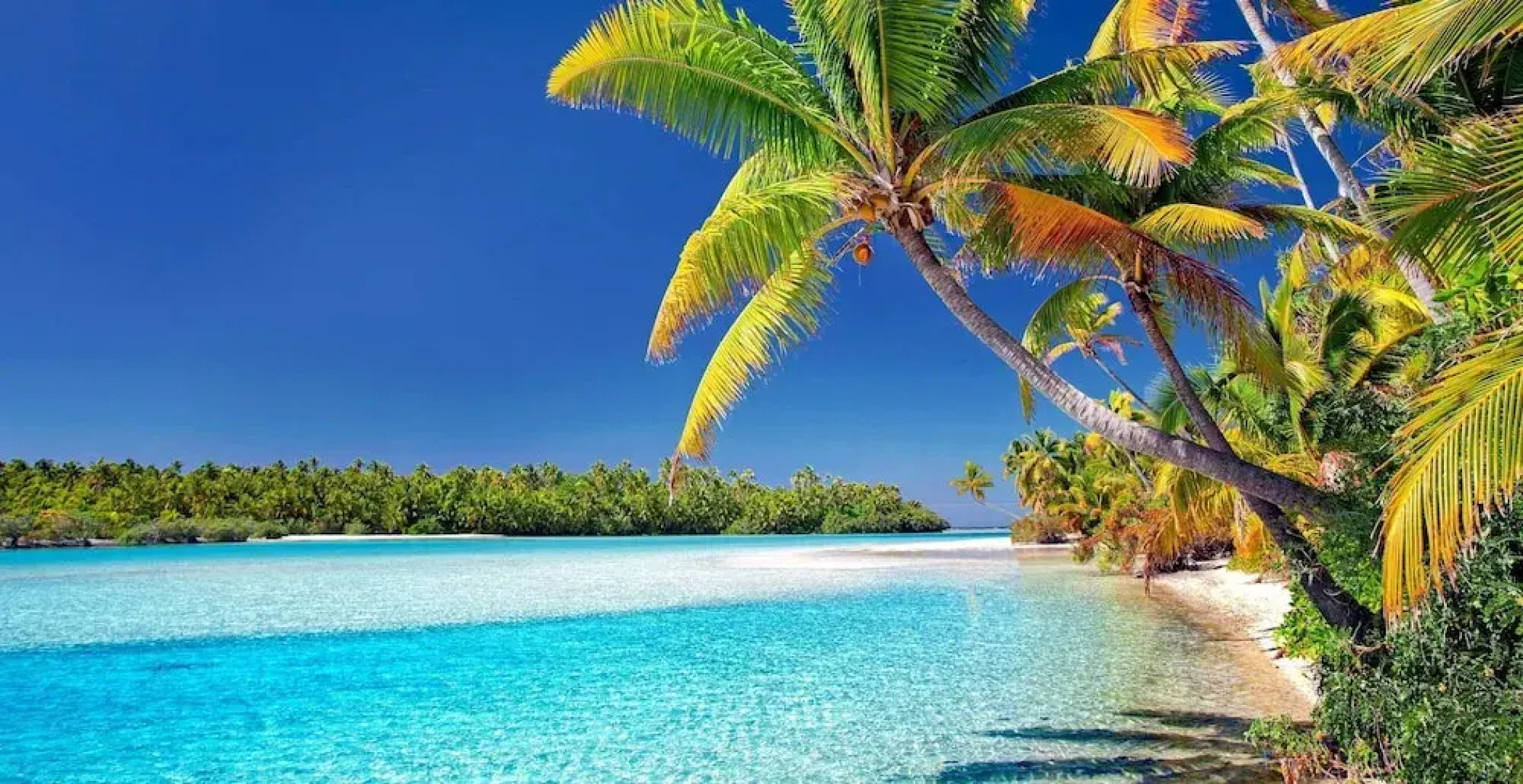 San Blas Private Sailboat - Island Hopping