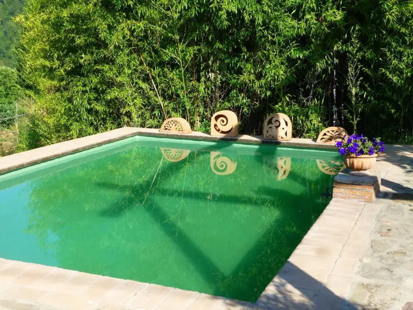 Podere Di Maggio - Santa Fiora Countryside