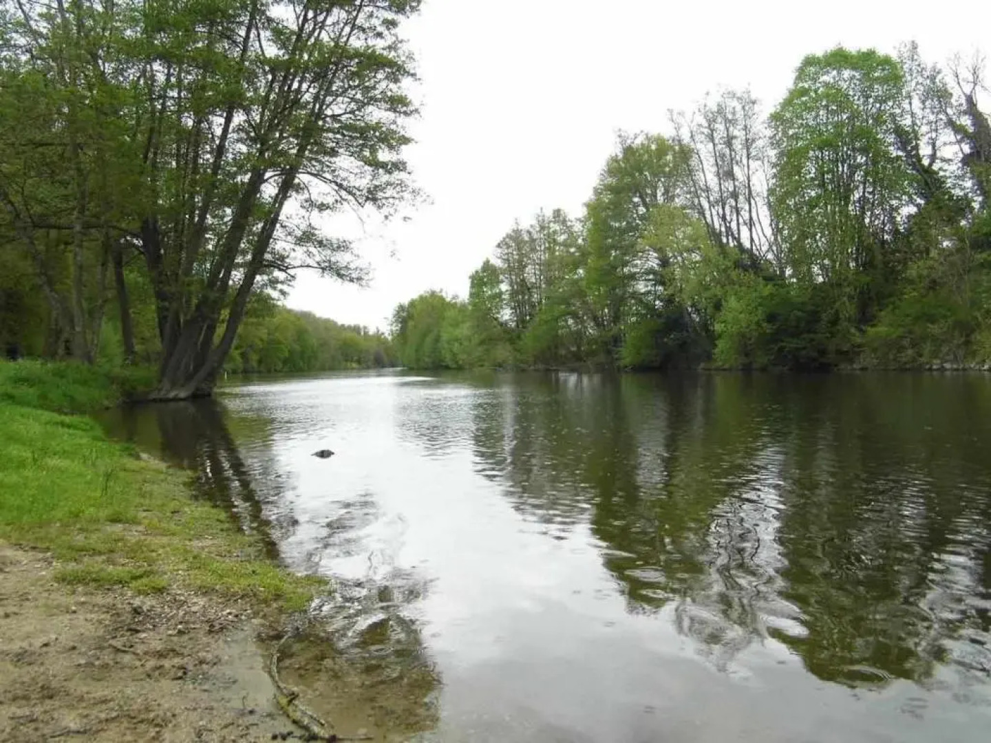 Joli petit T2 calme au bord de leau