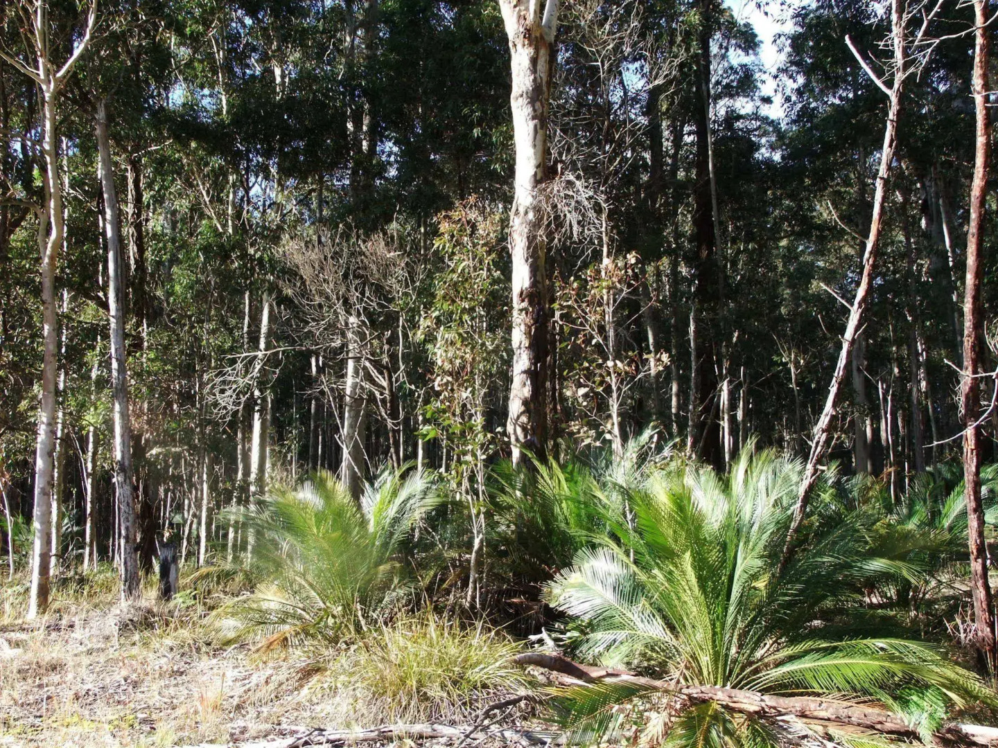 The Bower at Broulee