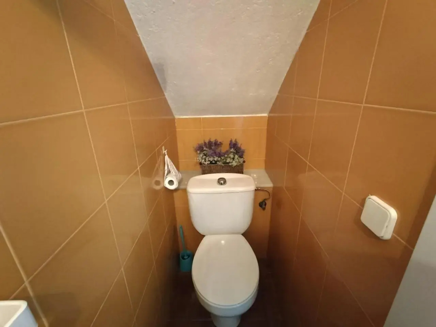 casa flor de taronger