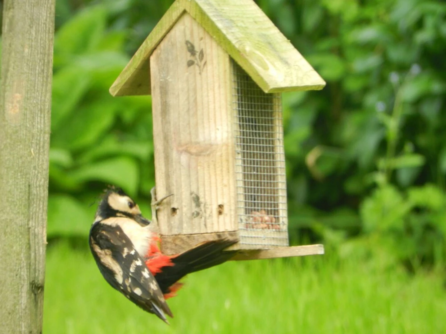 Comfy 4m -bed Bell Tent With Great Views