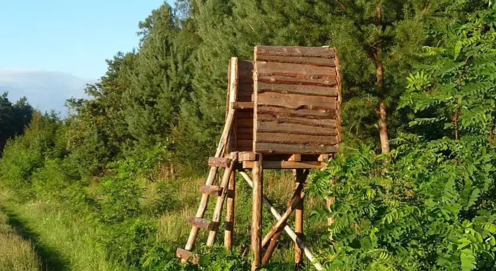 Gospodarstwo Agroturystyczne Leśniczówka
