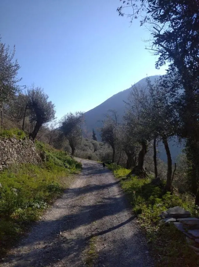 Agriturismo LE CASE ROTTE