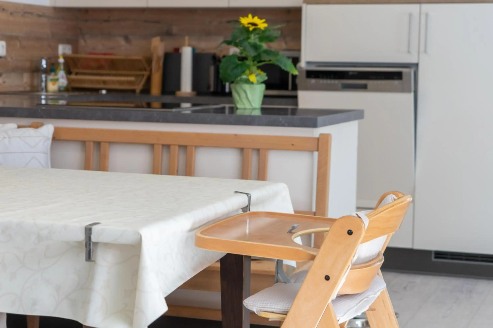 Modern Apartment in the City Center of Bad Ischl