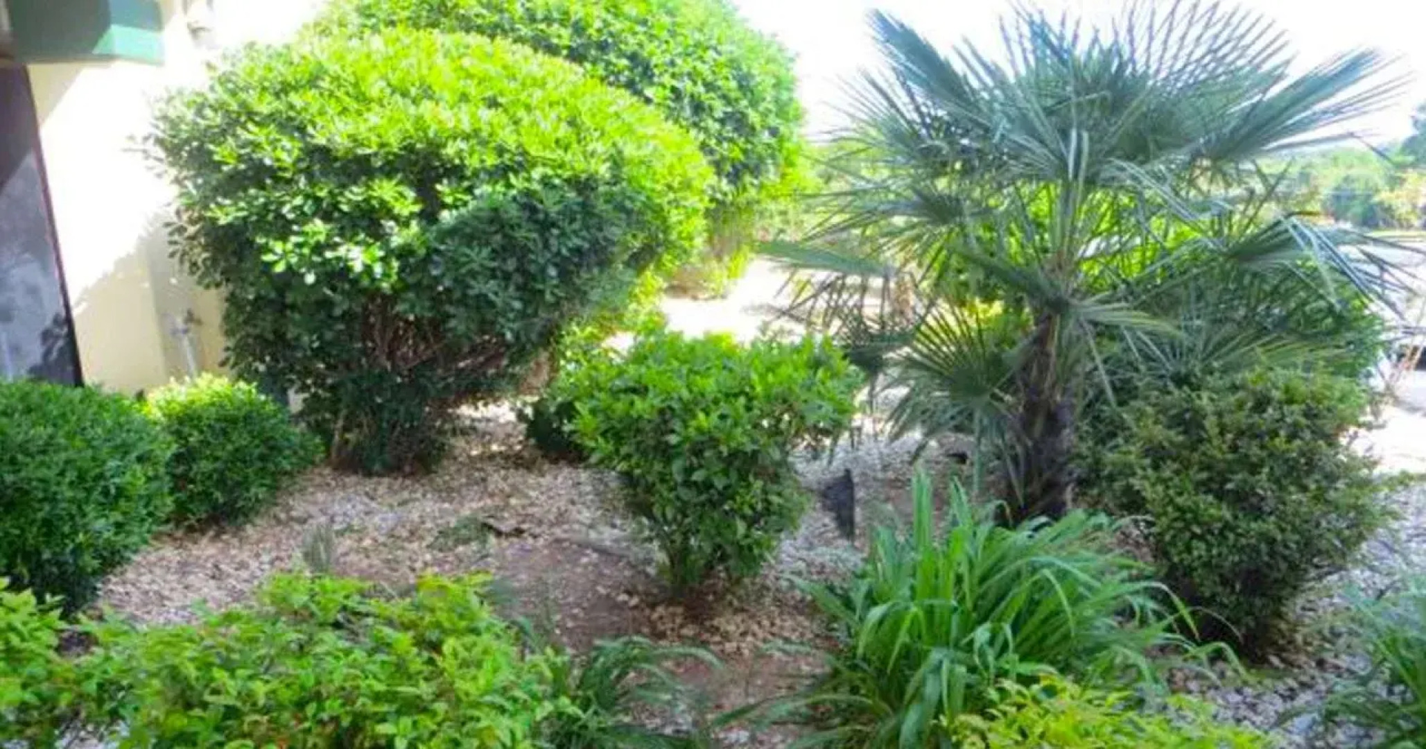 Super Inn & Suites by OYO Milledgeville