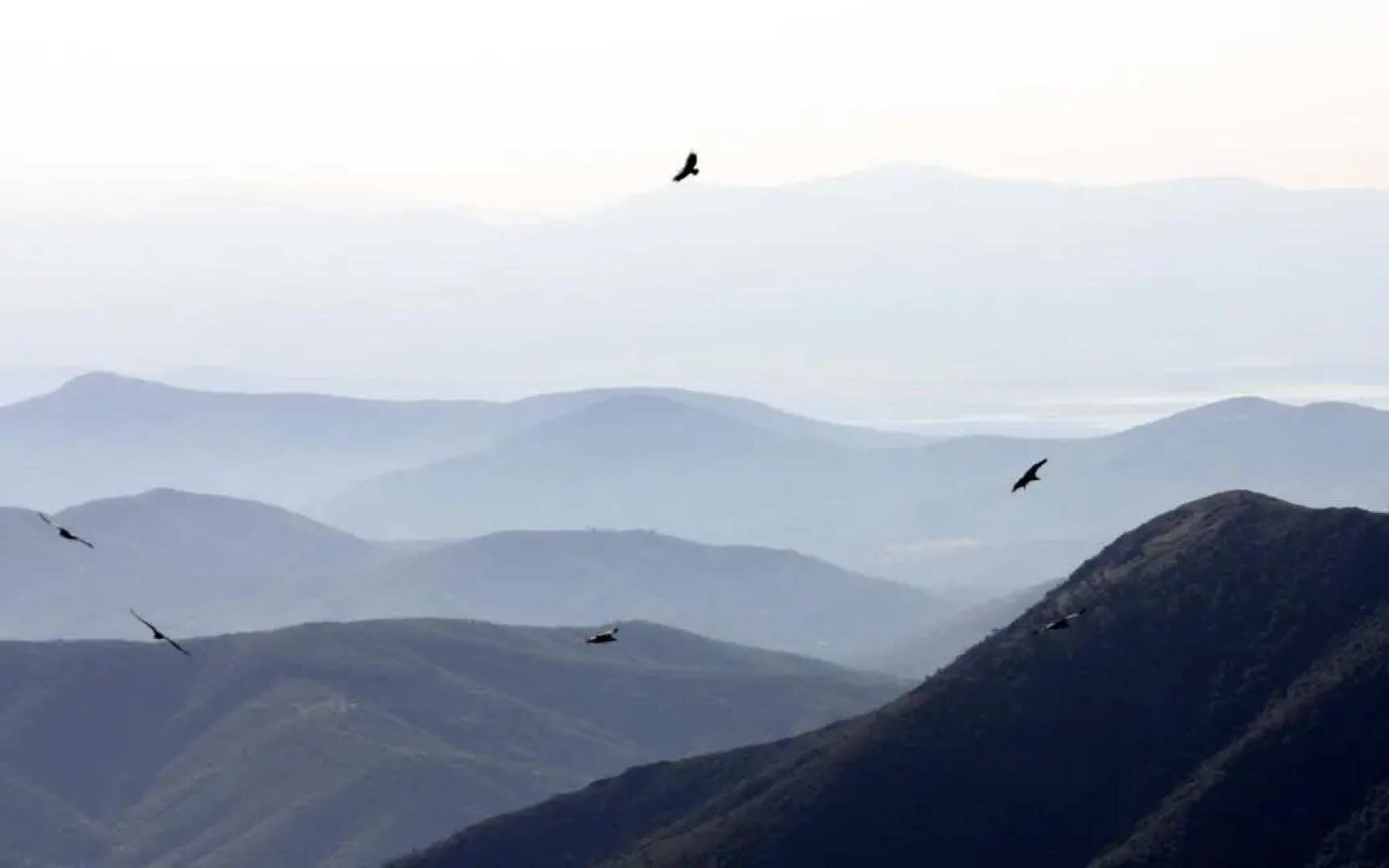 La Boticaria Casa Rural Apartamento