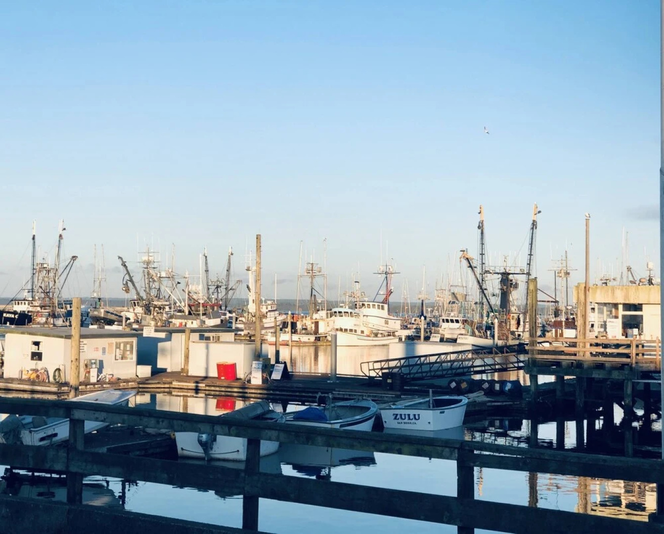 Pacific Motel and RV Park