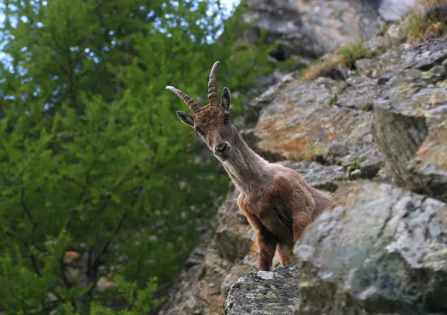 Rifugio Roberto Bignami