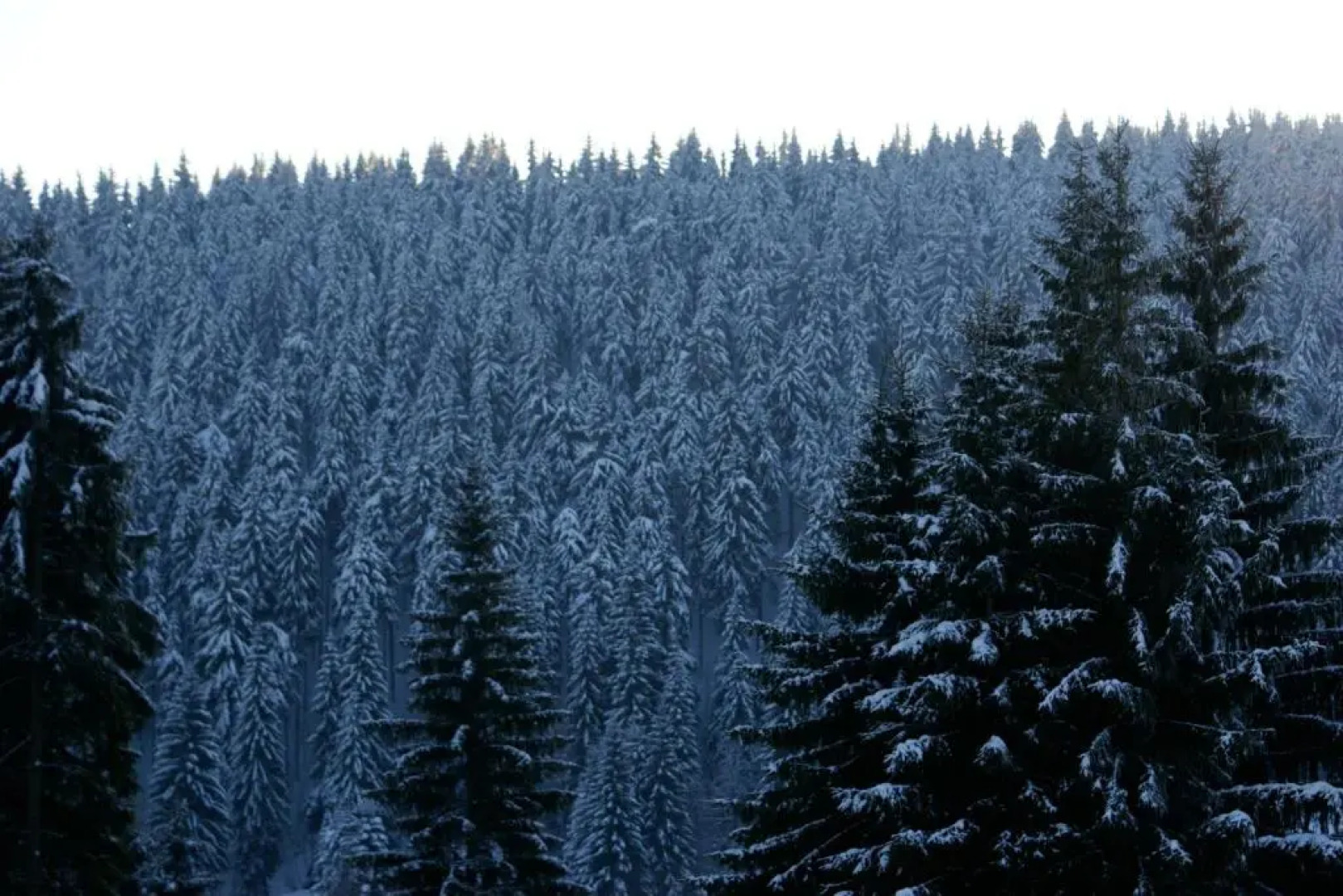 Apartmány U Semušky