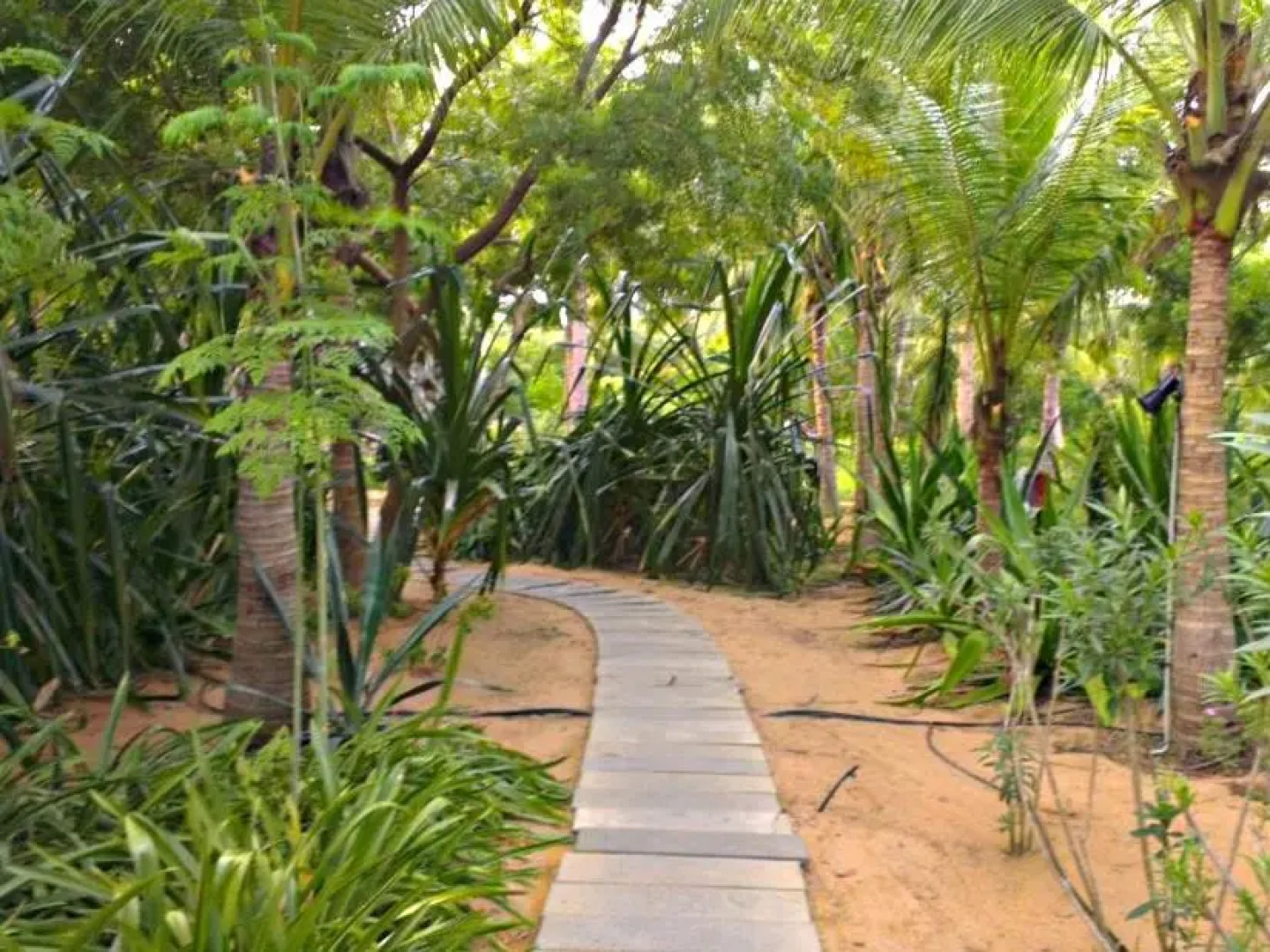 The Dune Eco Beach Village and Spa