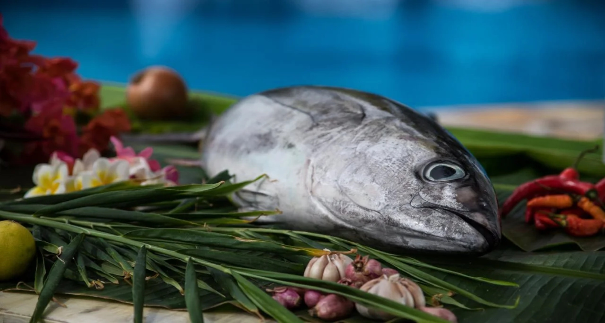 Relax Bali Dive & Spa Resort