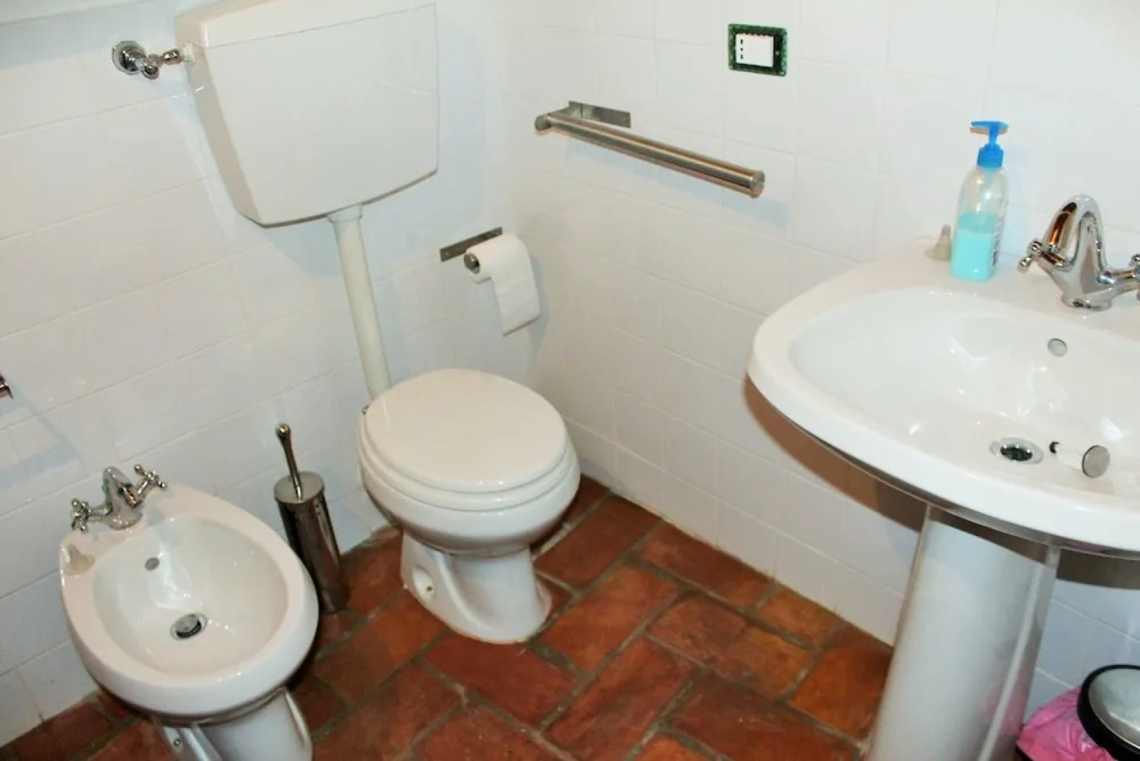 Orso - Parco Nazionale d'Abruzzo