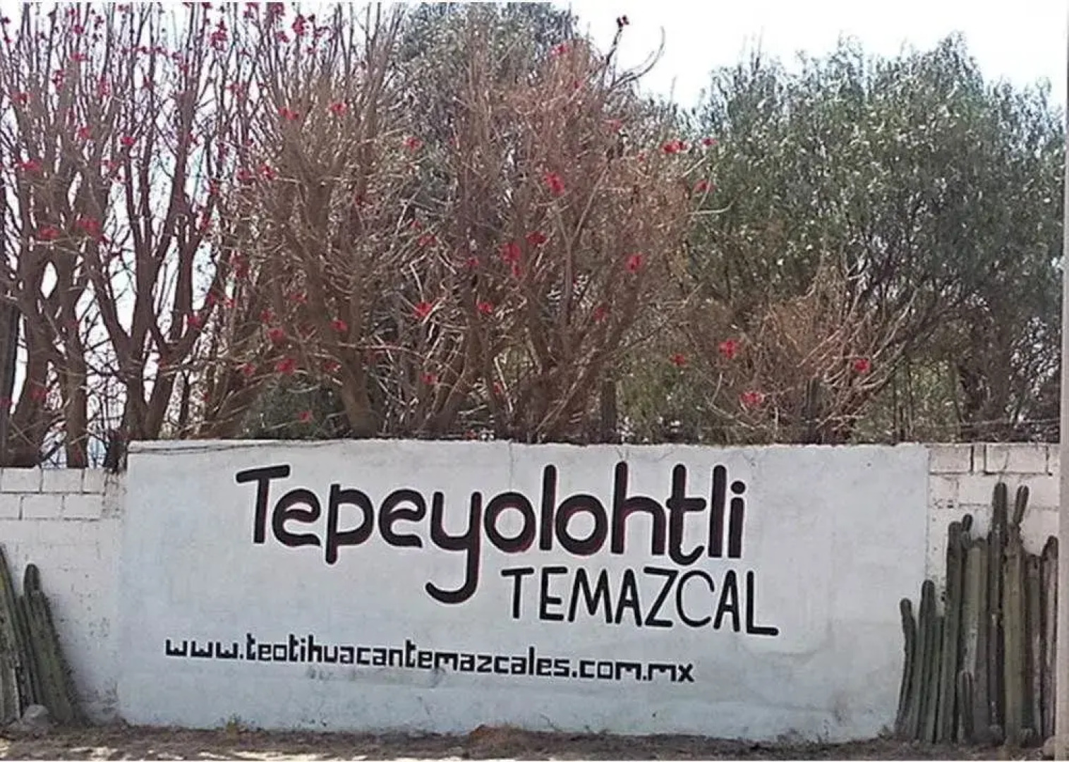 Temazcal Tepeyolotli