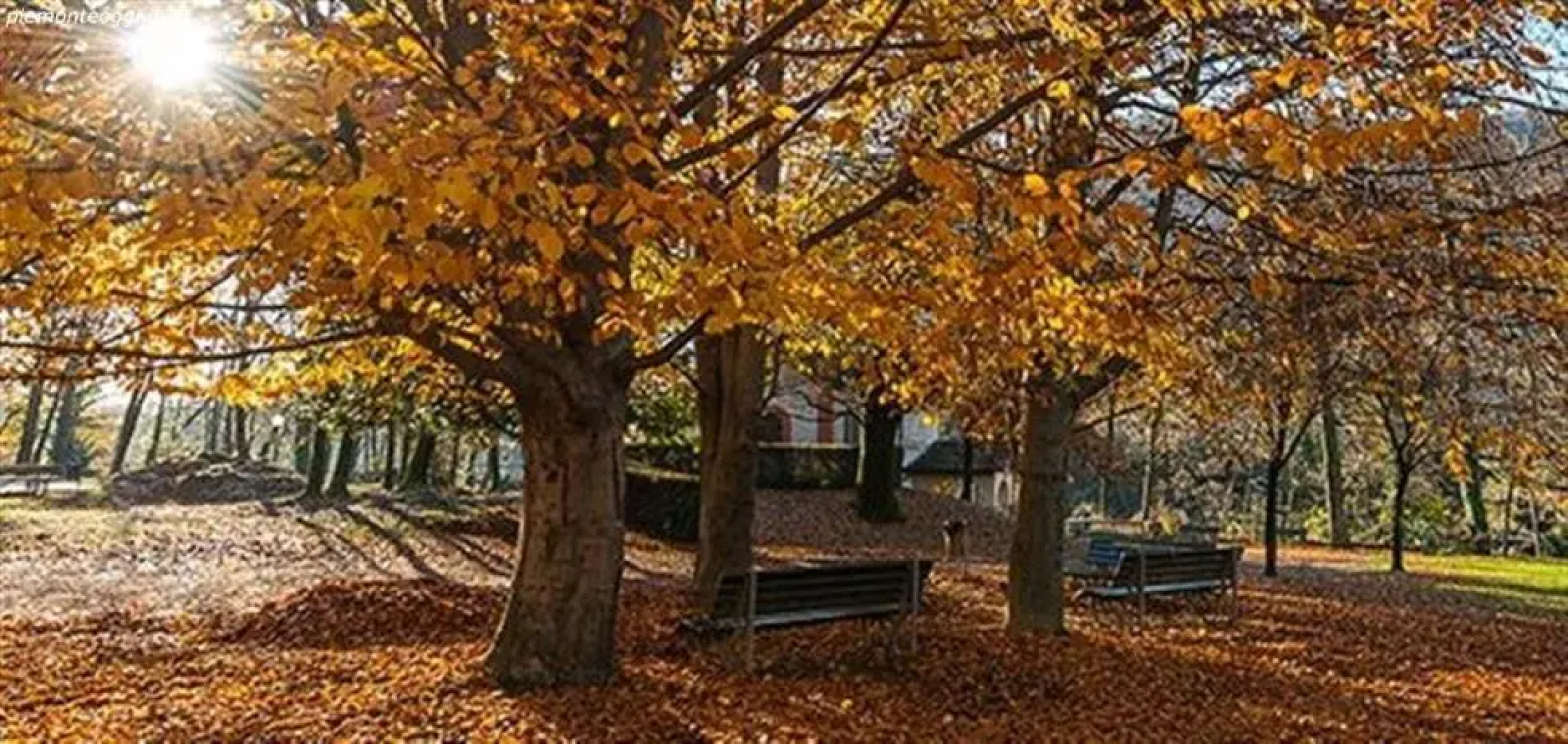 Appartamento in centro