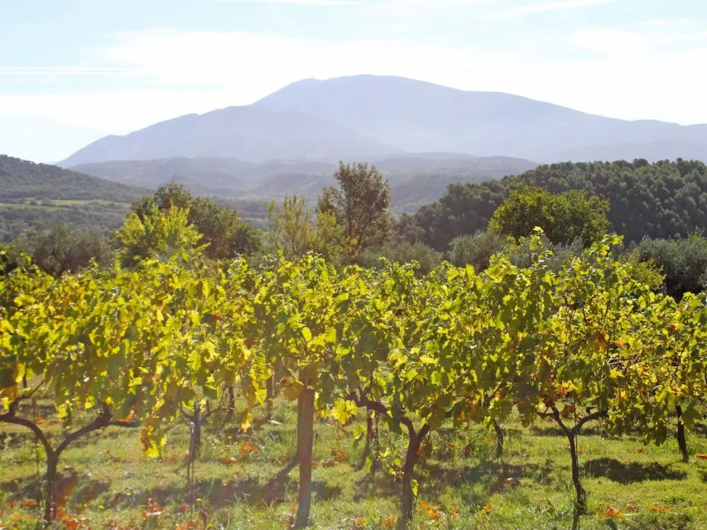 Beautiful Mansion With Views of Mont Ventoux and With Fenced Private Pool