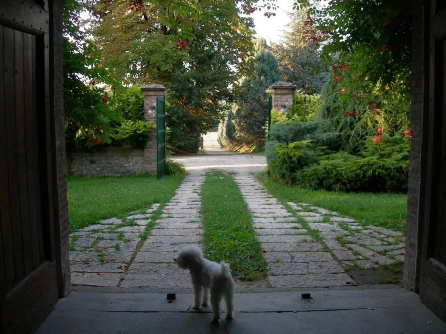 Agriturismo Terensano