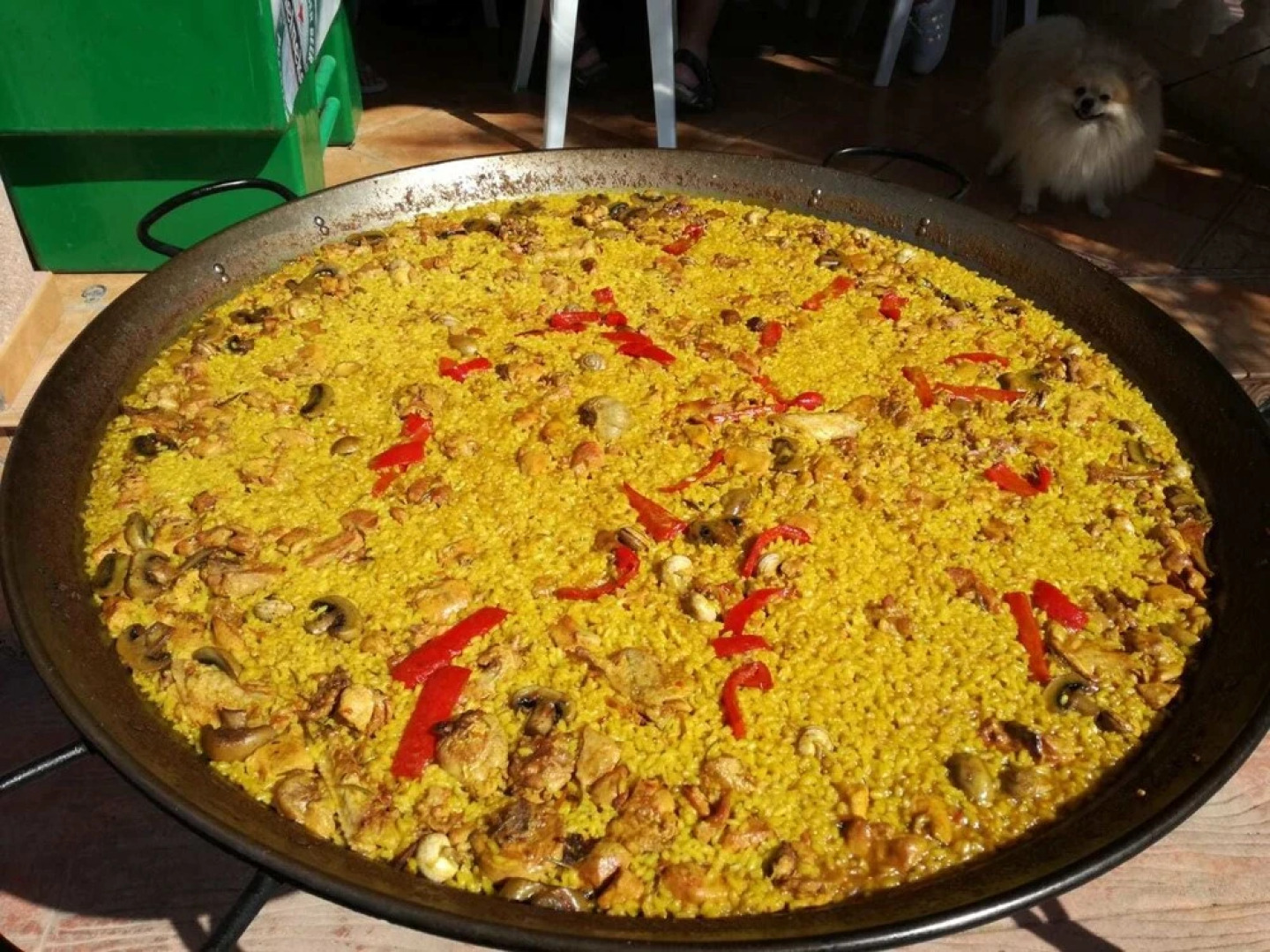 Los Jardines De Lola