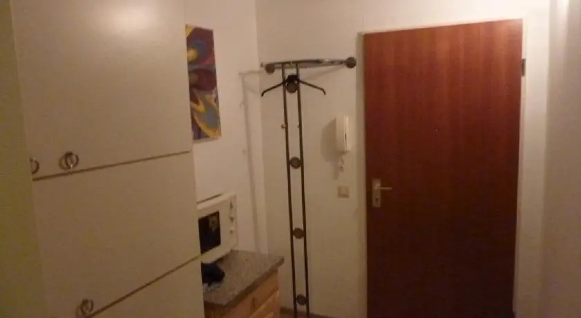 Flingermann Apartment Lahr