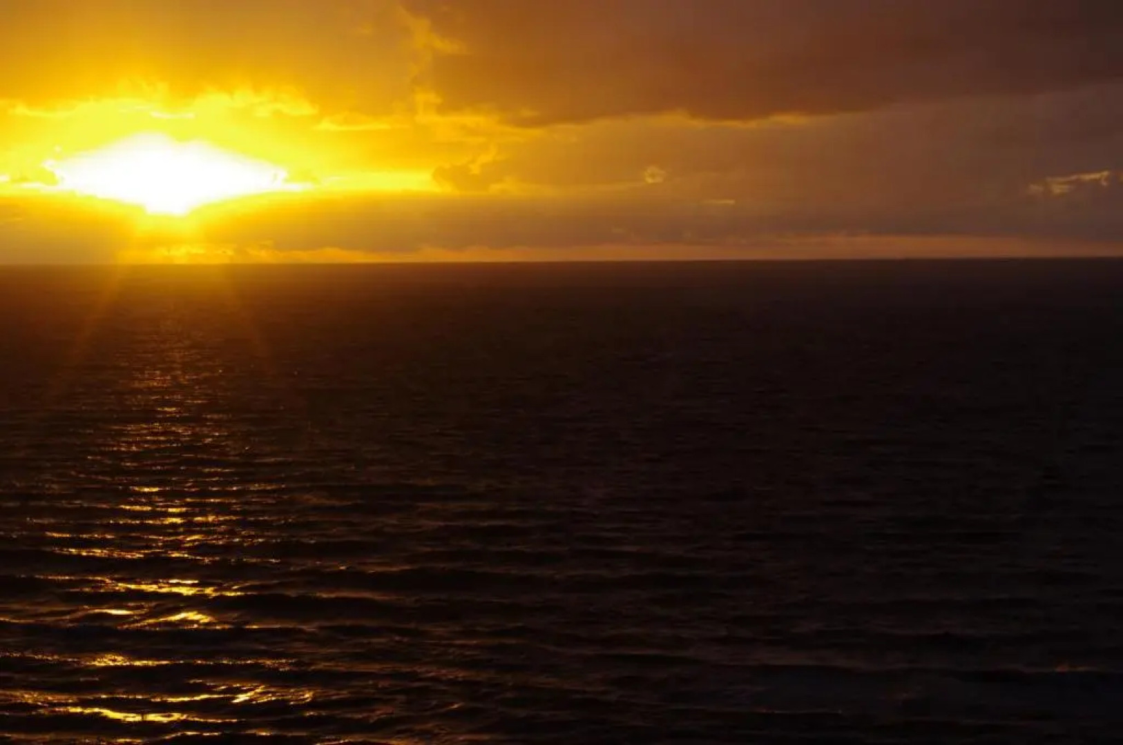 Apartments LuxView II