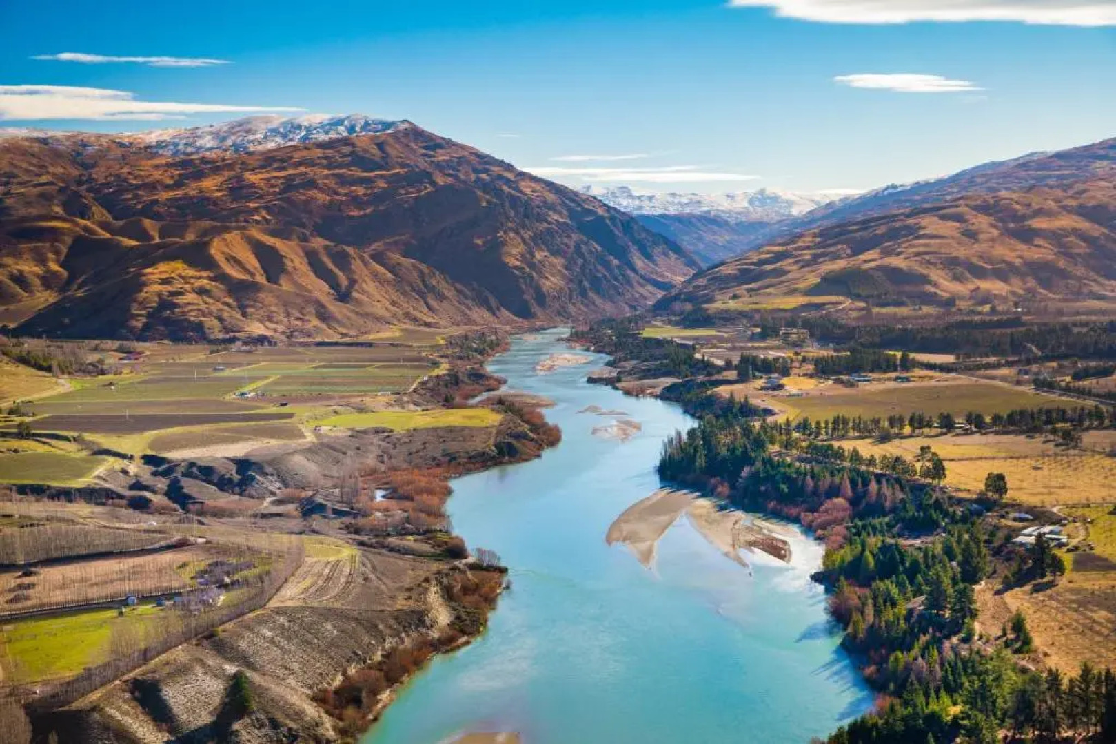 Cromwell Safari Bach