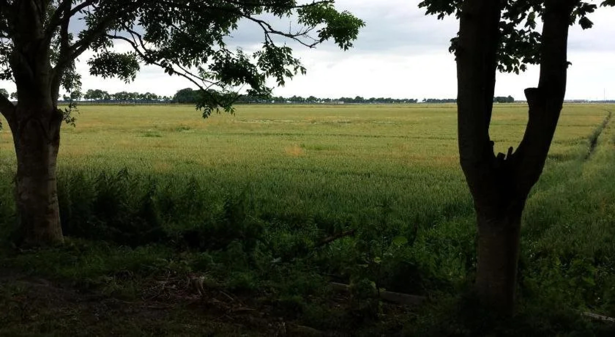 Sauna Beauty Farm Midwolda