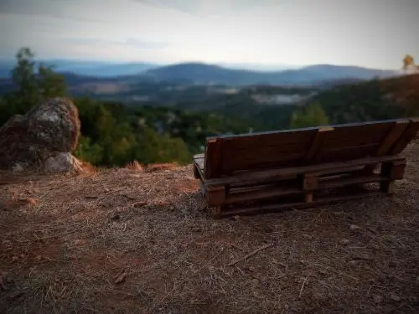 Blue House In The Woods- Amirim
