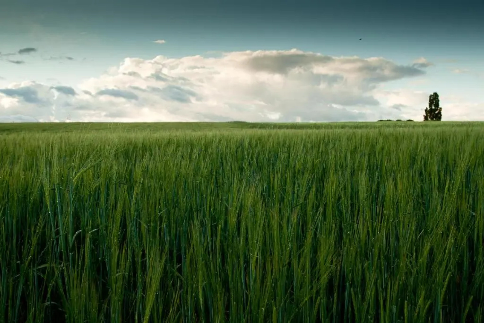 El Encuentro Del Duratón