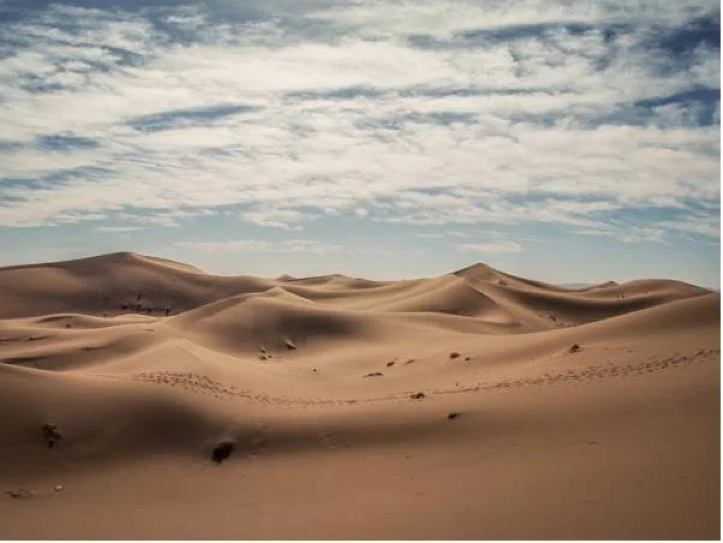 Le Sand Luxury Camp Chegaga