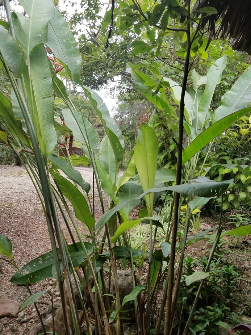 Samai Ocean Lodge - Spa