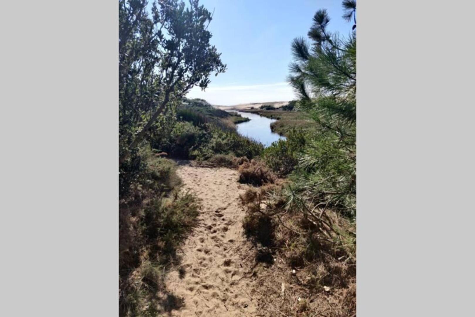 Maison duplex 4 à 6p, terrasse, Golf et Ocean