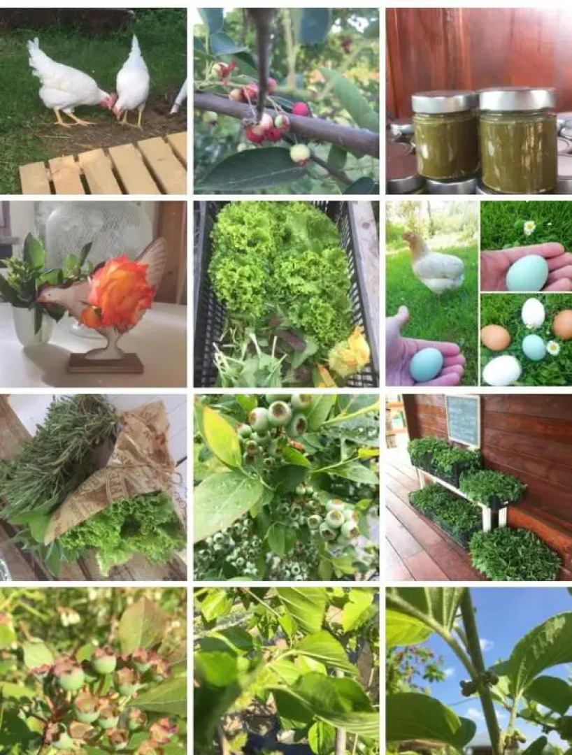 Appartamentino in AZ.AGRICOLA - MALPENSA- LAGO MAGGIORE-