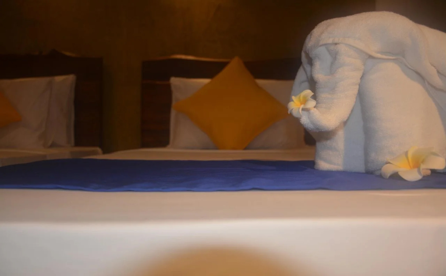 Royal Tusker Udawalawa