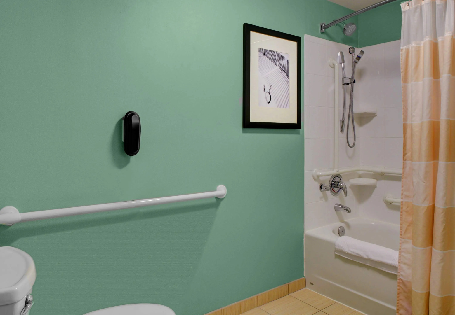 Springhill Suites by Marriott West Palm Beach