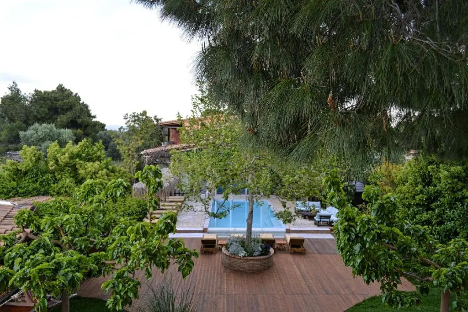 Turdus Merula Retreat