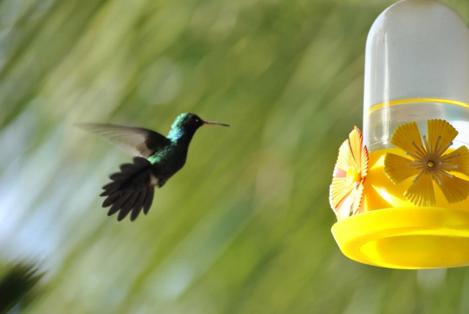 Xamã Senses - Hotel Pousada