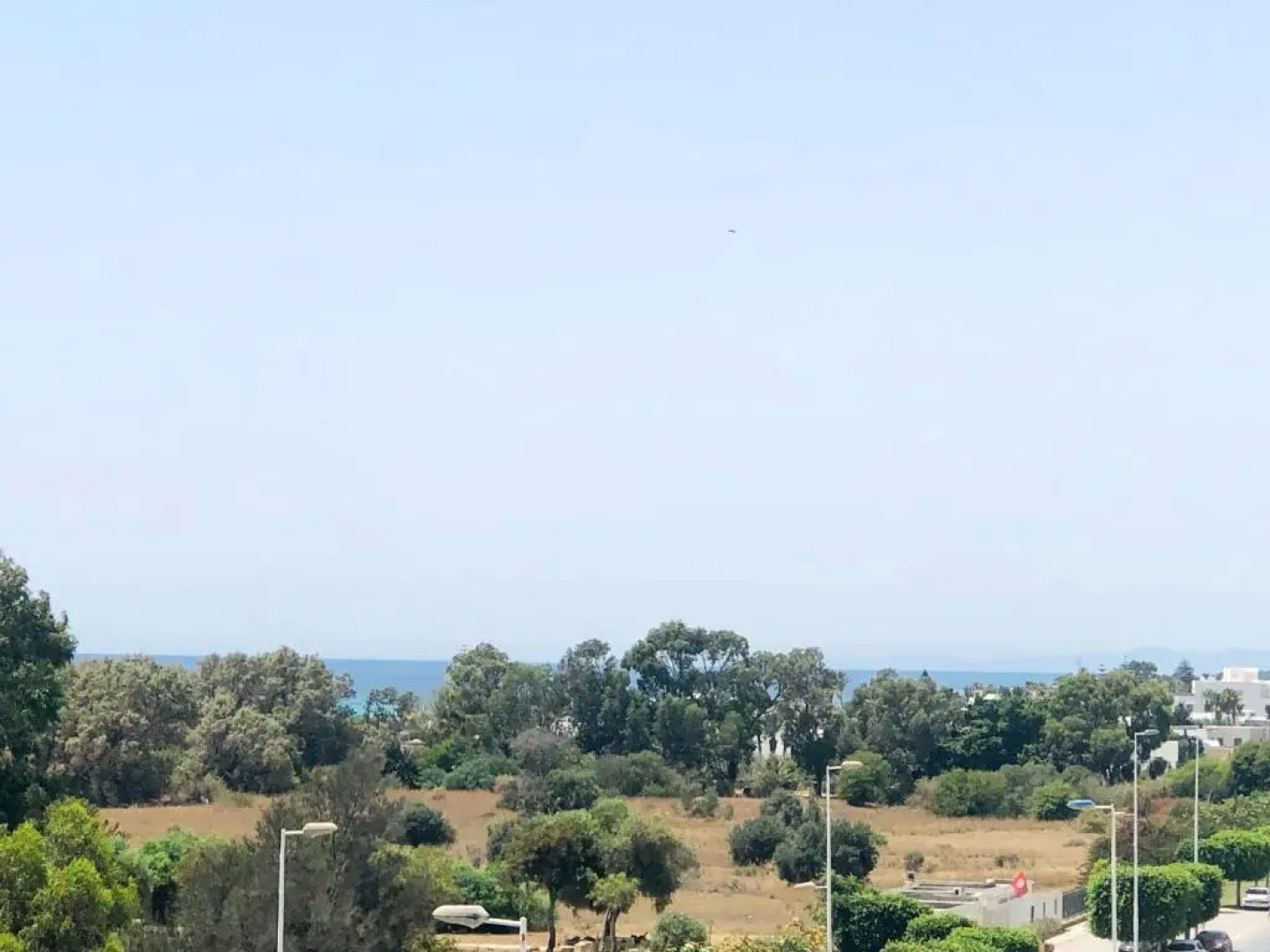 Jasmine Studio coquette