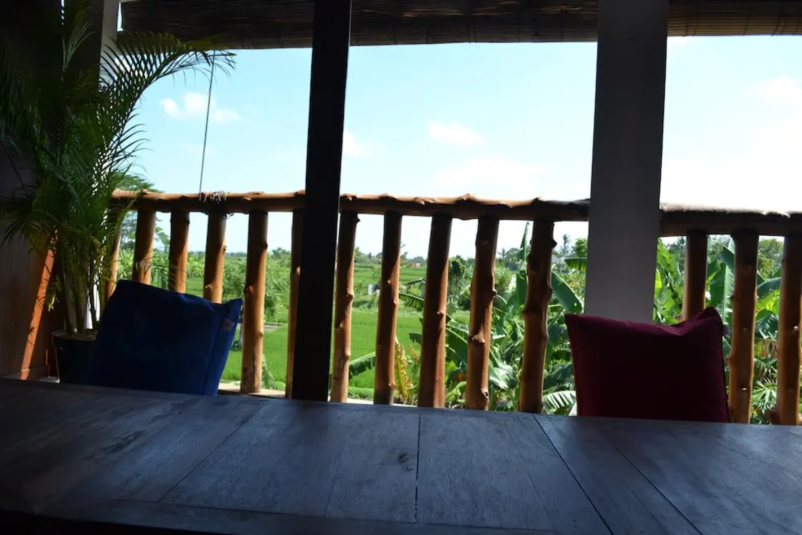 Tribe Theory - Startup House