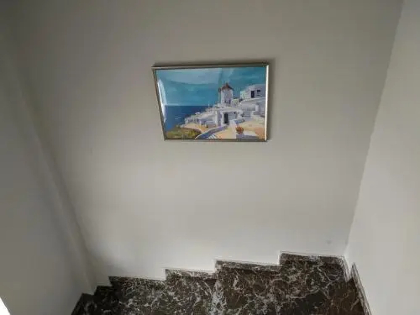 Starfish Seaside Studio