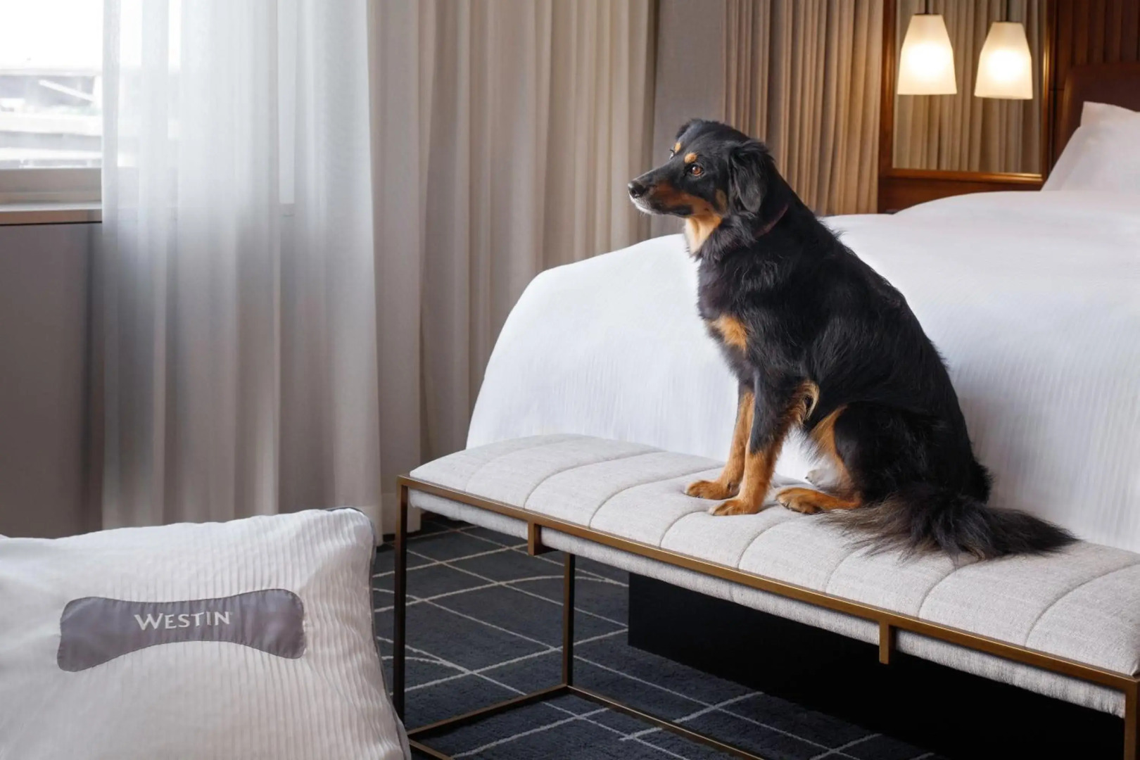 The Westin St. Louis