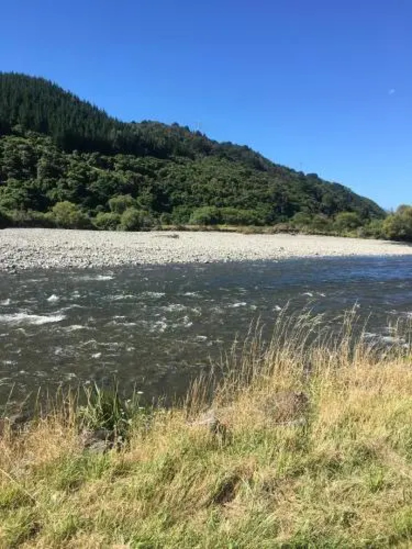 exclusive Birchville Residence