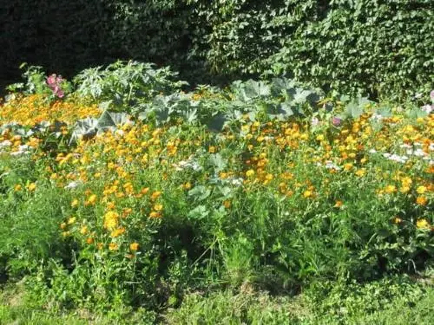 Les Chambres du Manoir de Guitry