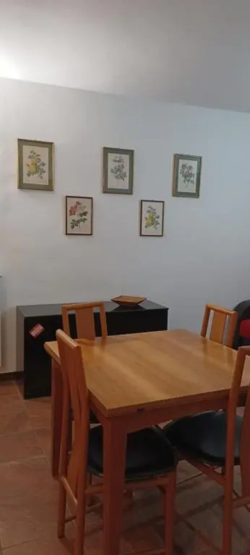 Luminoso Tra I Rami Del Lago di Como, Sormano