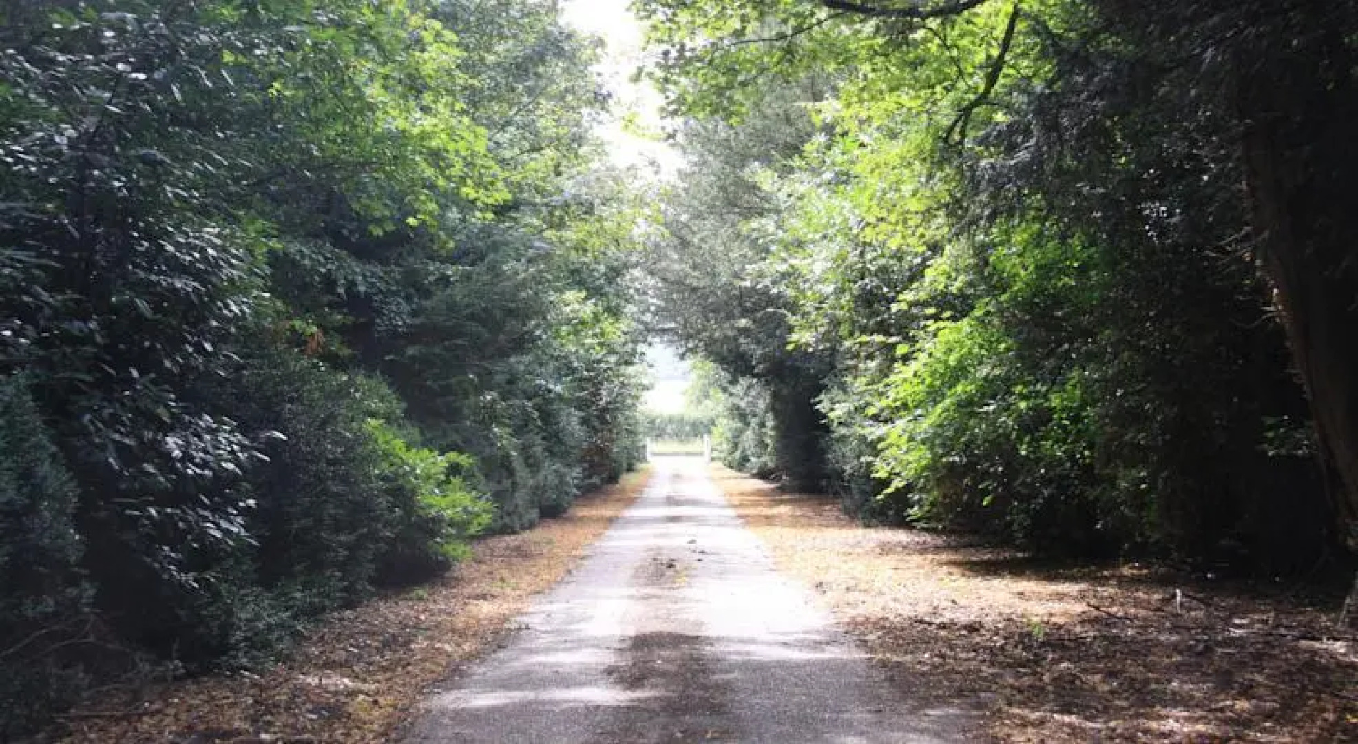 The Manor House Bed and Breakfast