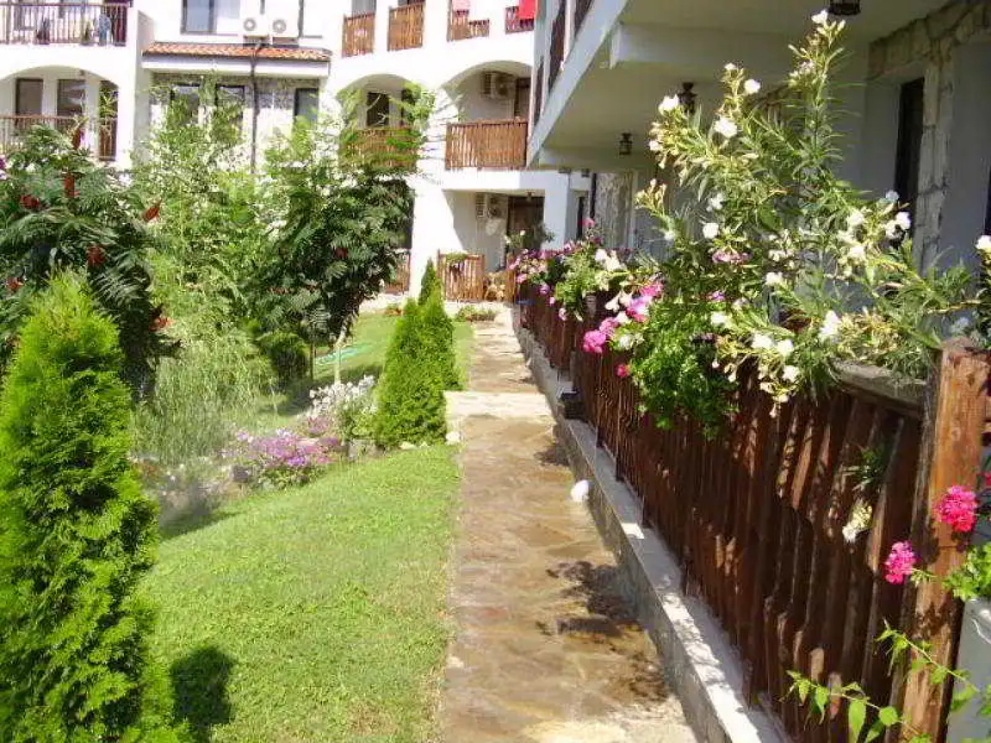 Vip Club Dolphin Coast