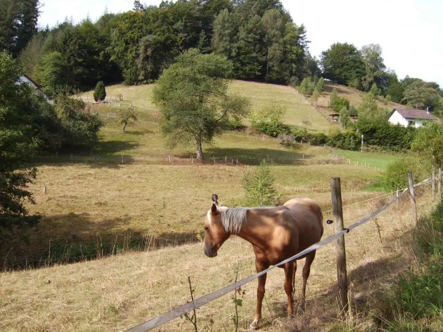 Ferienwohnung Haus Patry