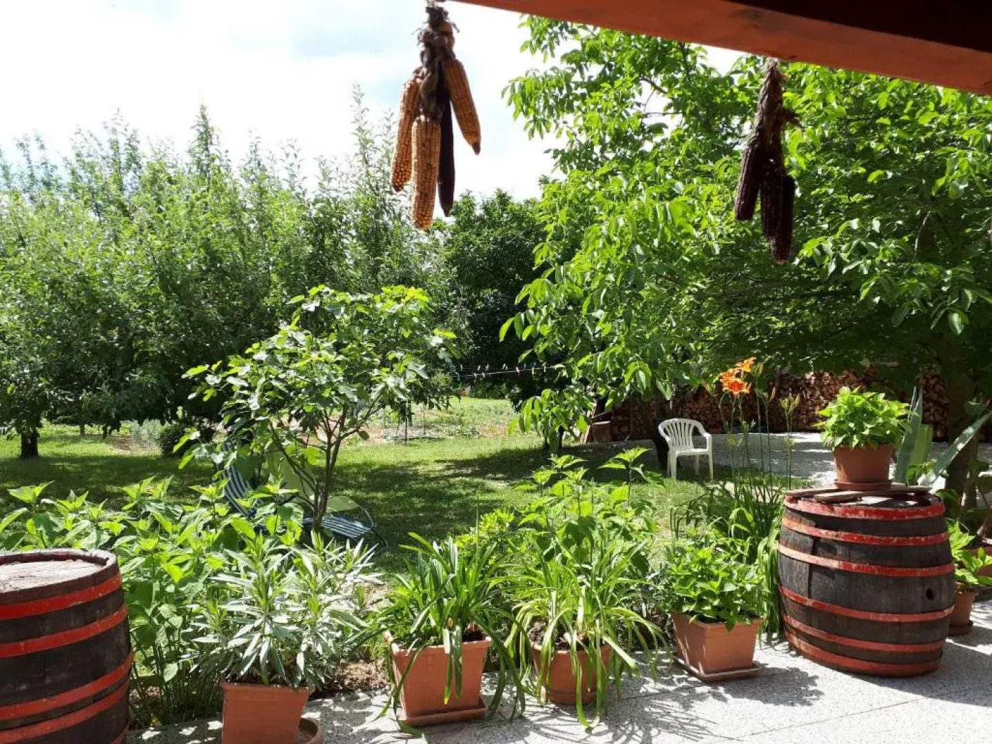 Fehér Rózsa Apartman