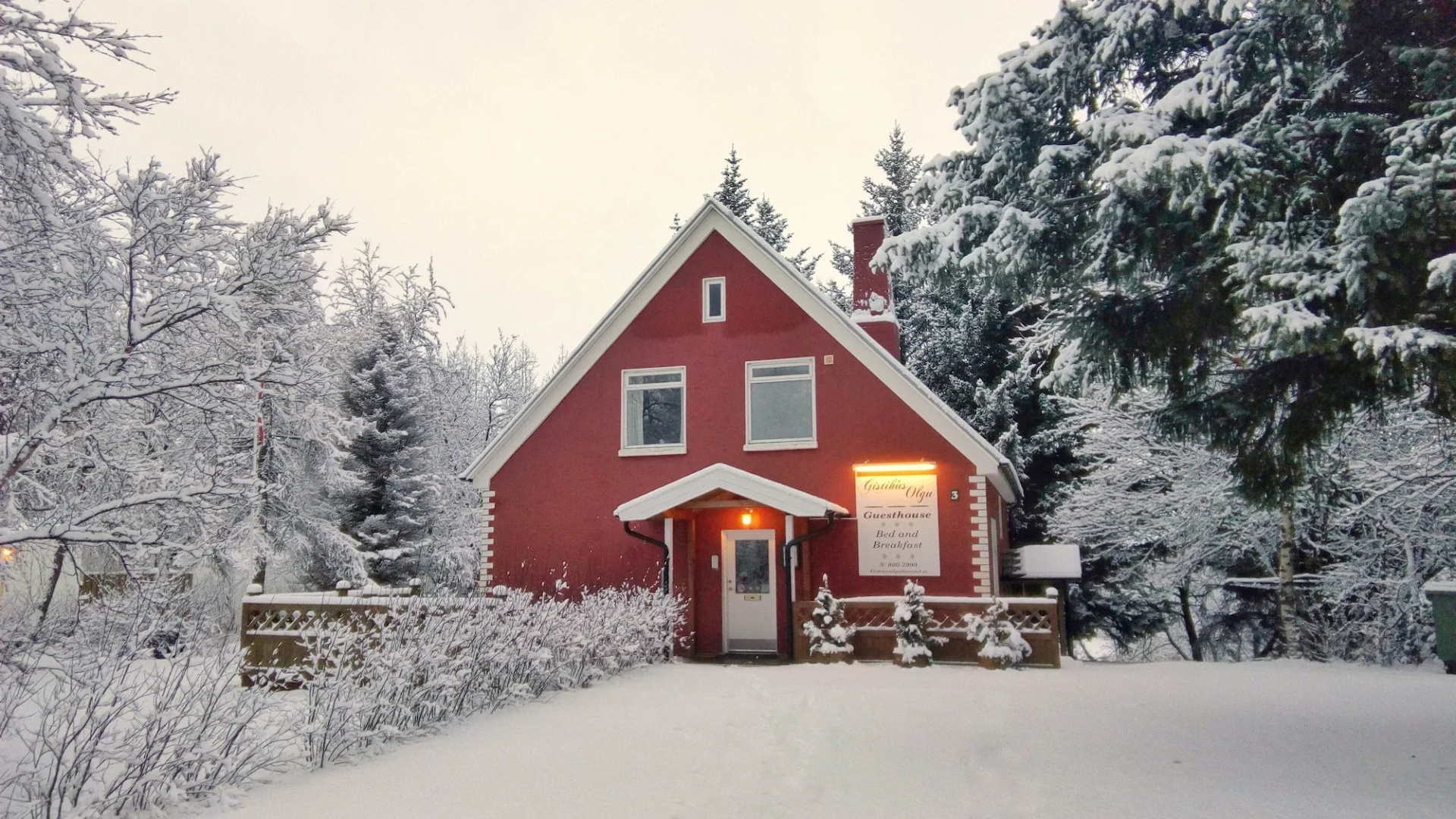 Olga Guesthouse